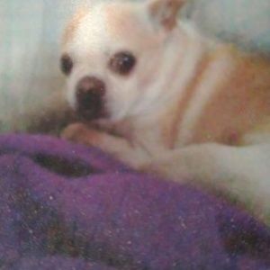 Meet your Posher, Gerisue